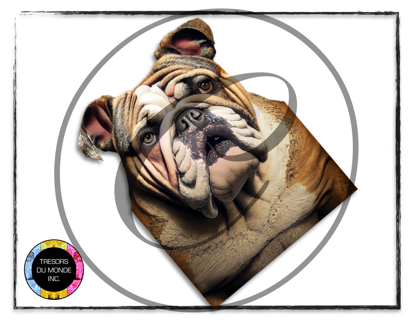 British bulldogs - High resolution digital solo images - Business