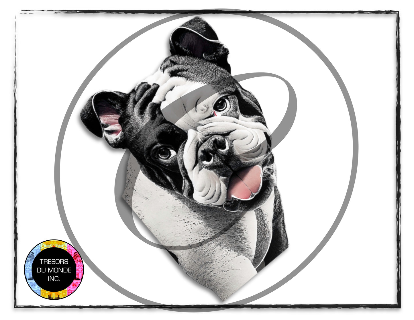 British bulldogs - High resolution digital solo images - Business