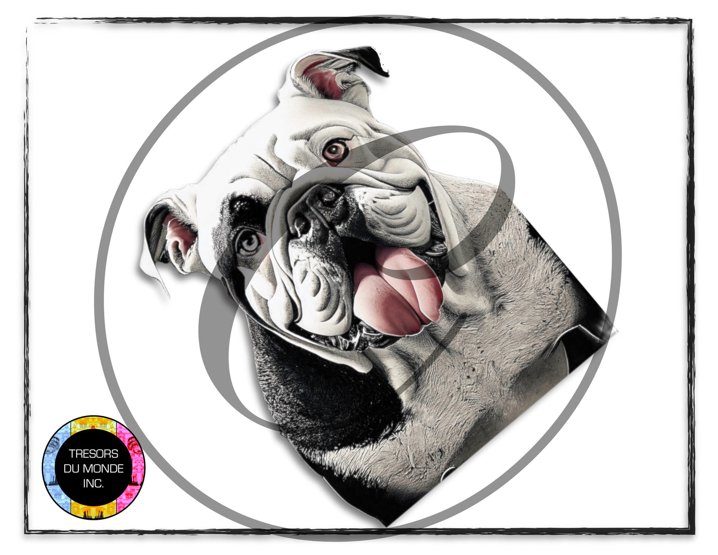 British bulldogs - High resolution digital solo images - Business