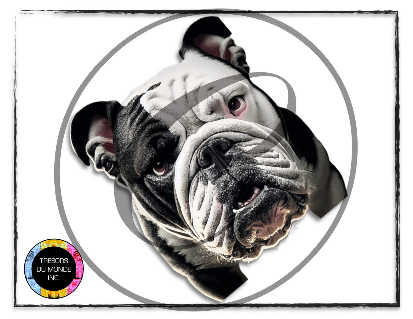British bulldogs - High resolution digital solo images - Business