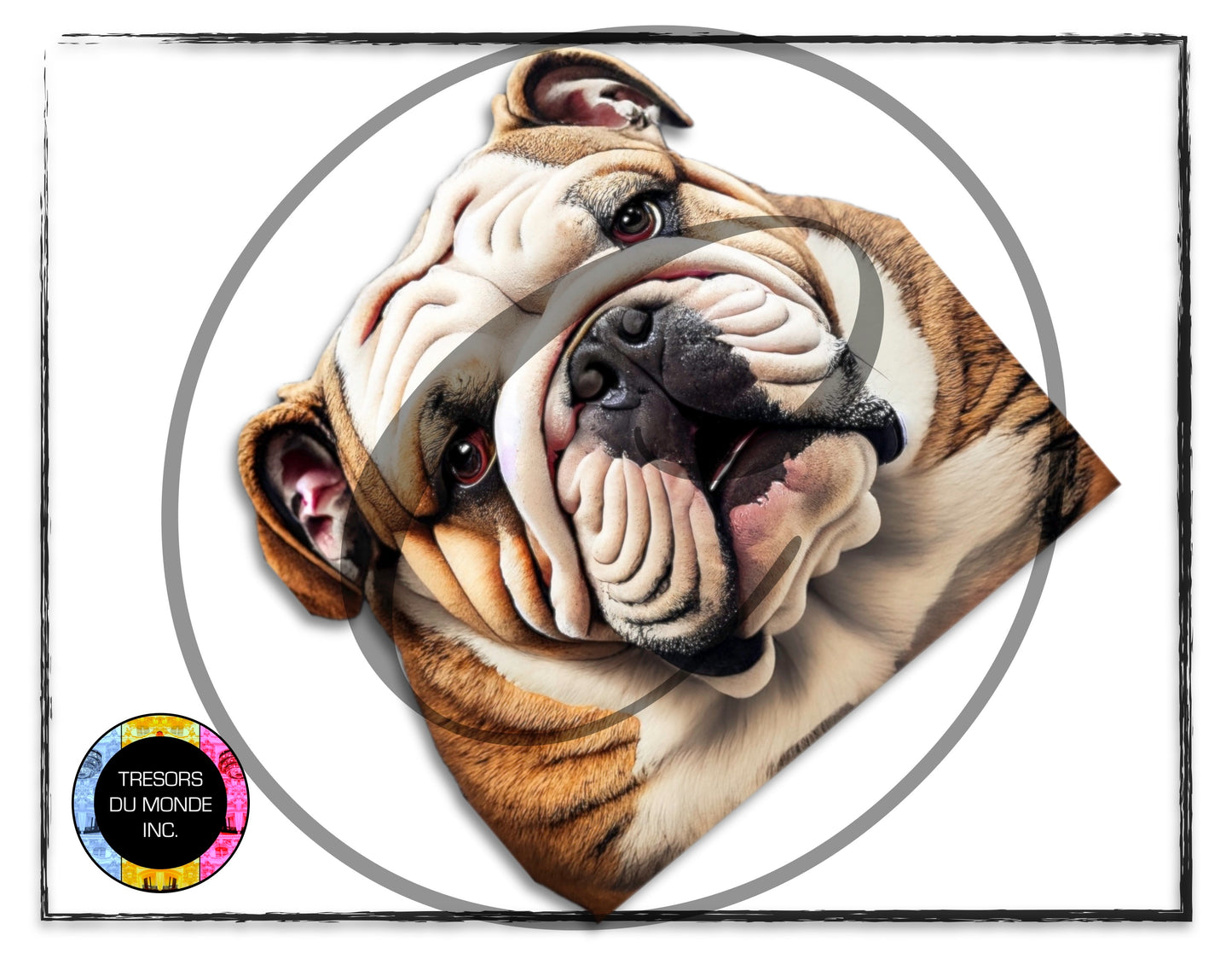 British bulldogs - High resolution digital solo images - Business