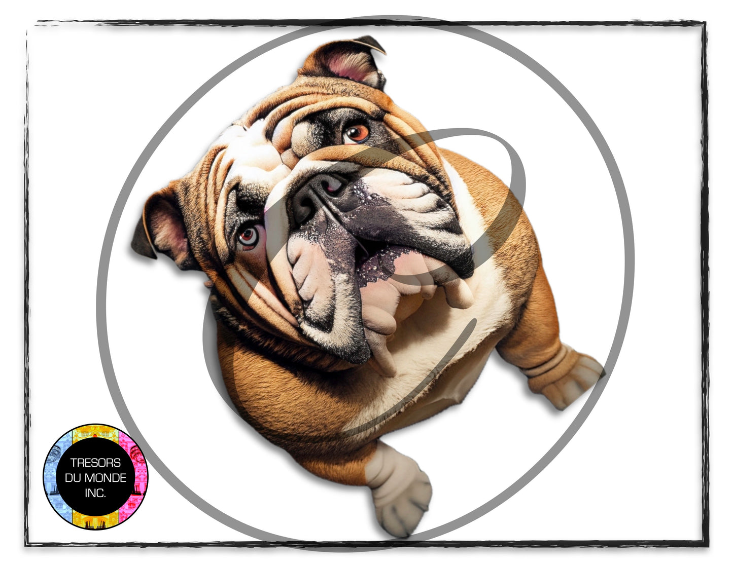 British bulldogs - High resolution digital solo images - Business