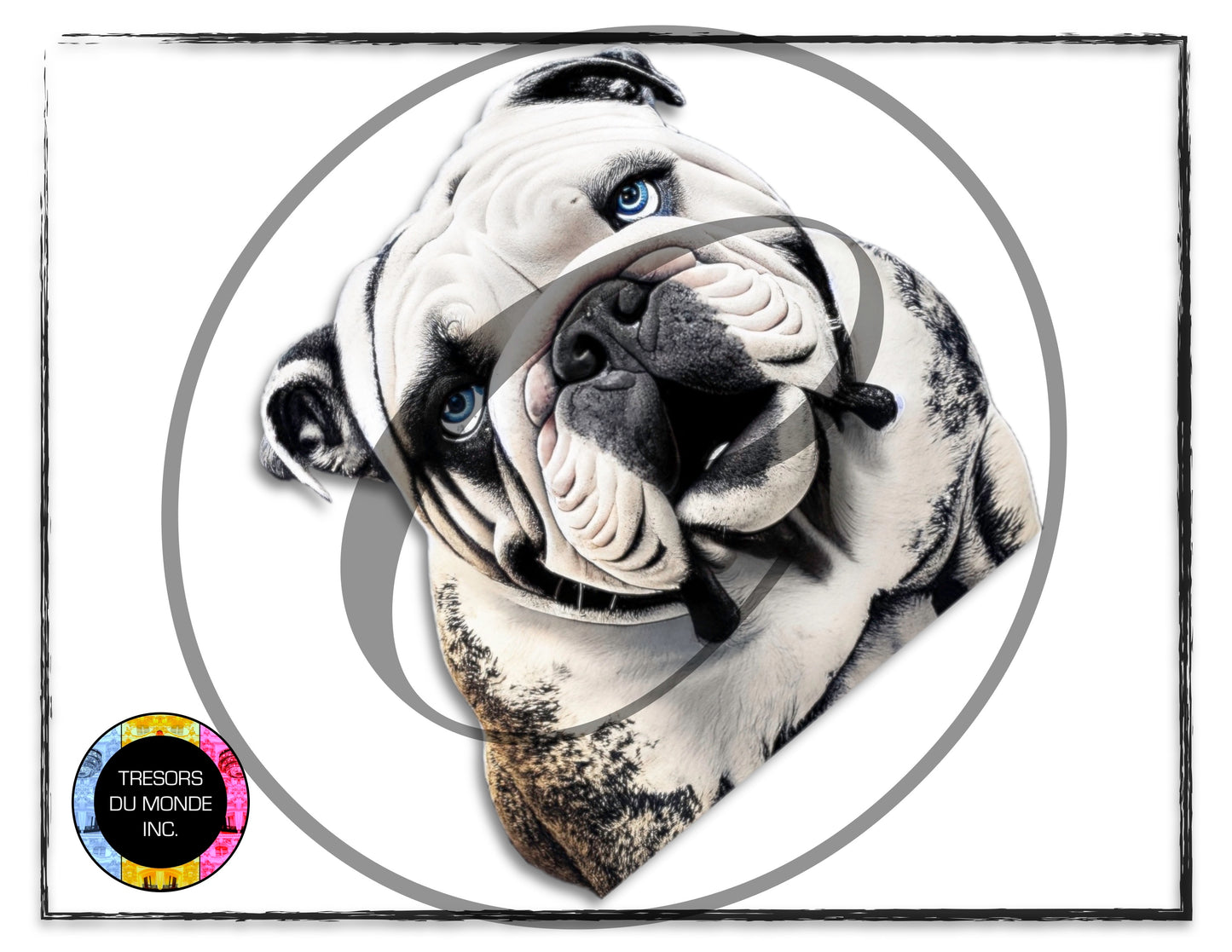 British bulldogs - High resolution digital solo images - Business