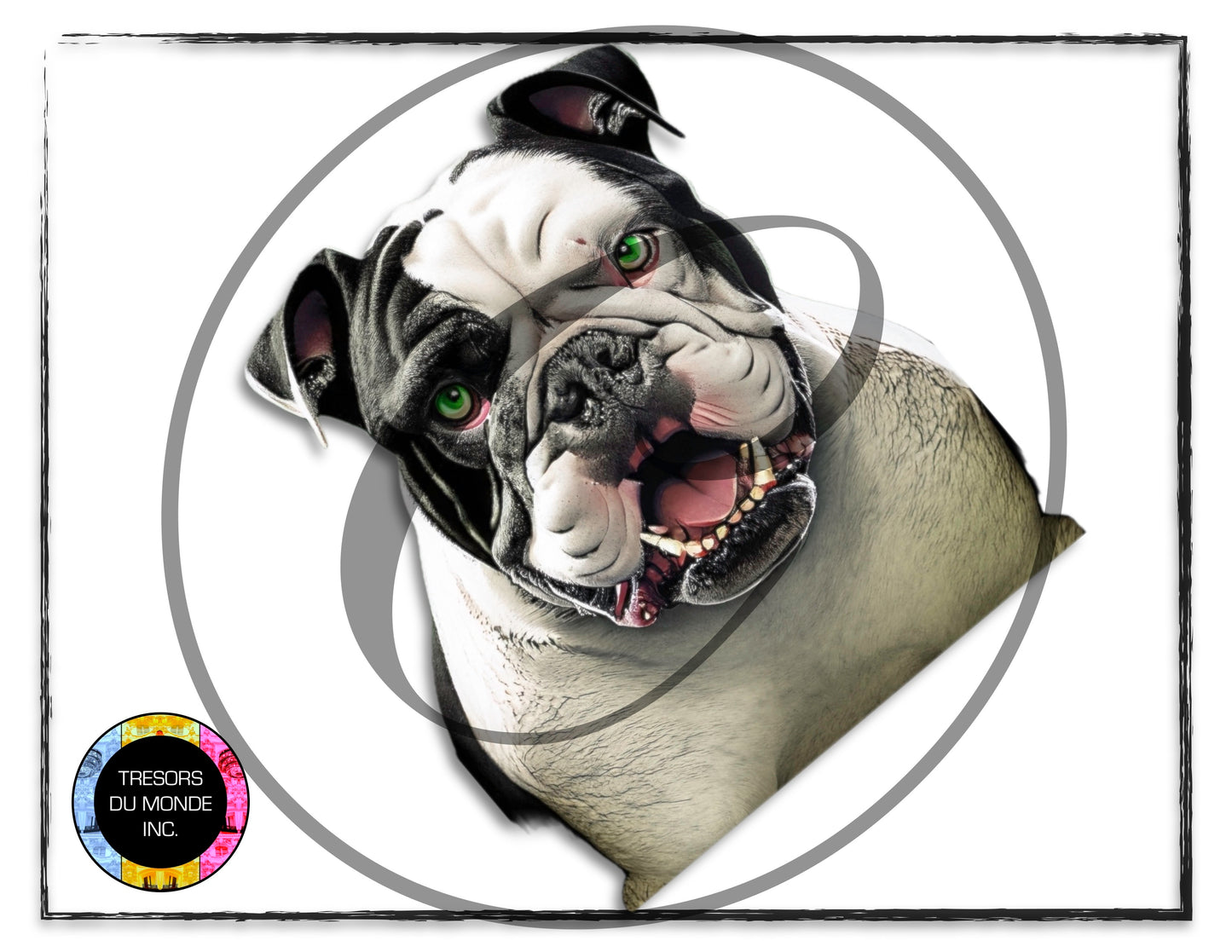 British bulldogs - High resolution digital solo images - Business
