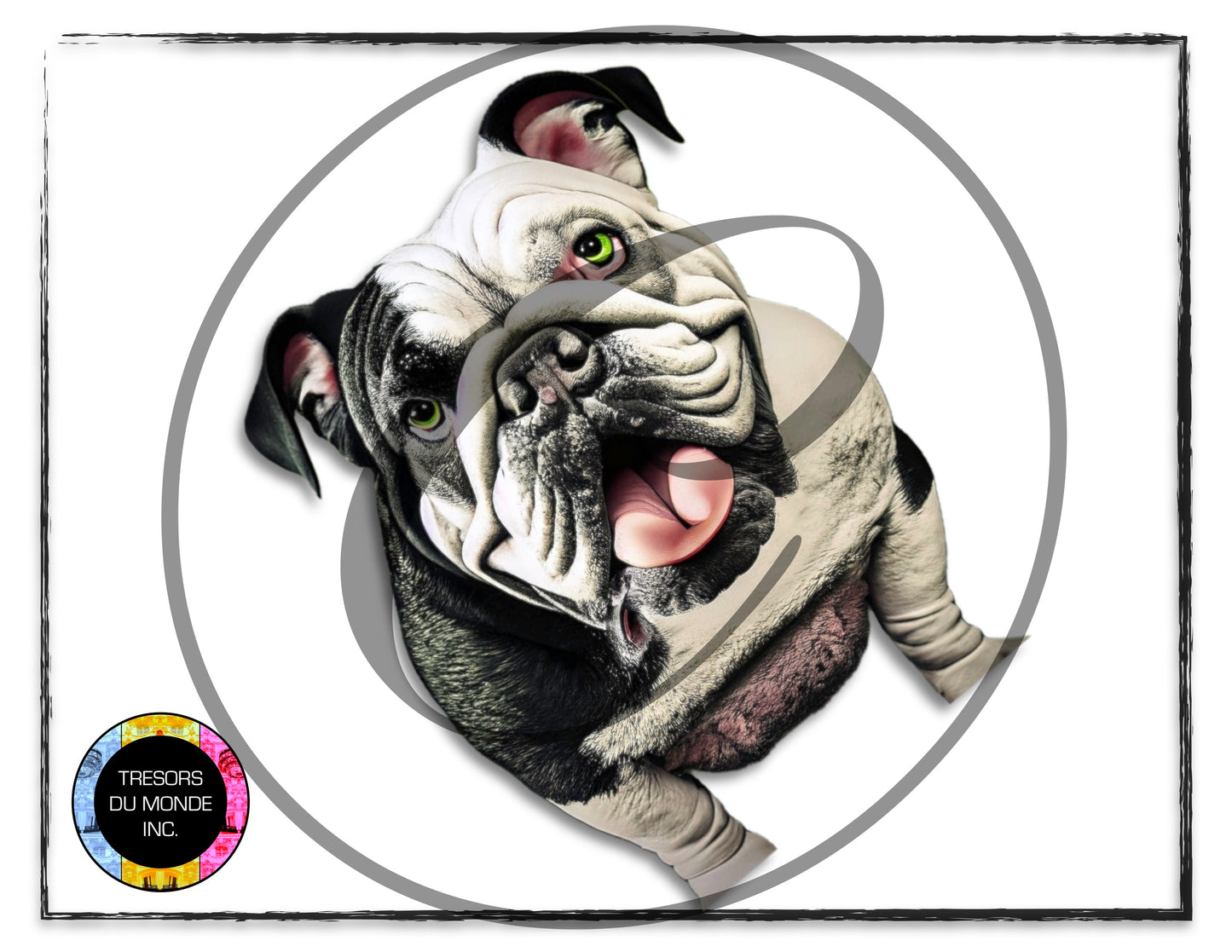 British bulldogs - High resolution digital solo images - Business