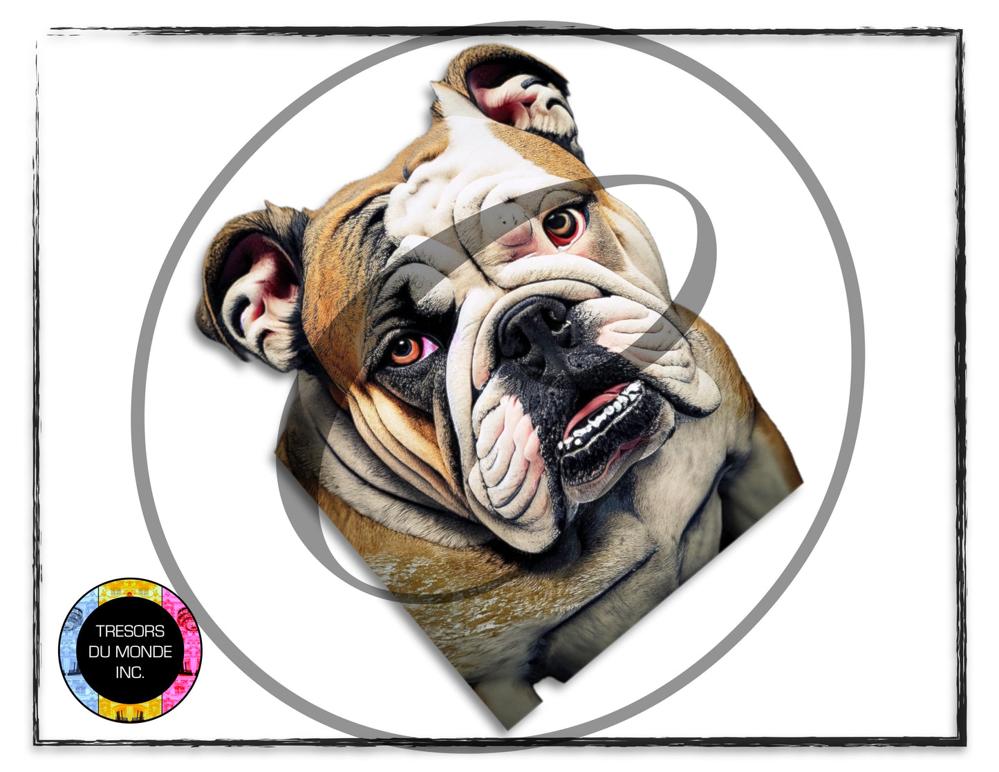 British bulldogs - High resolution digital solo images - Business