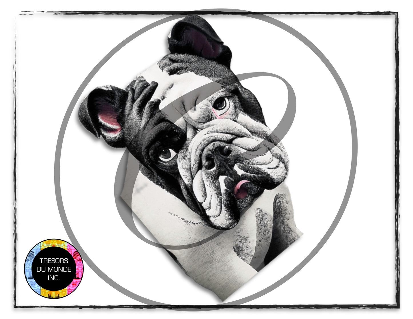 British bulldogs - High resolution digital solo images - Business