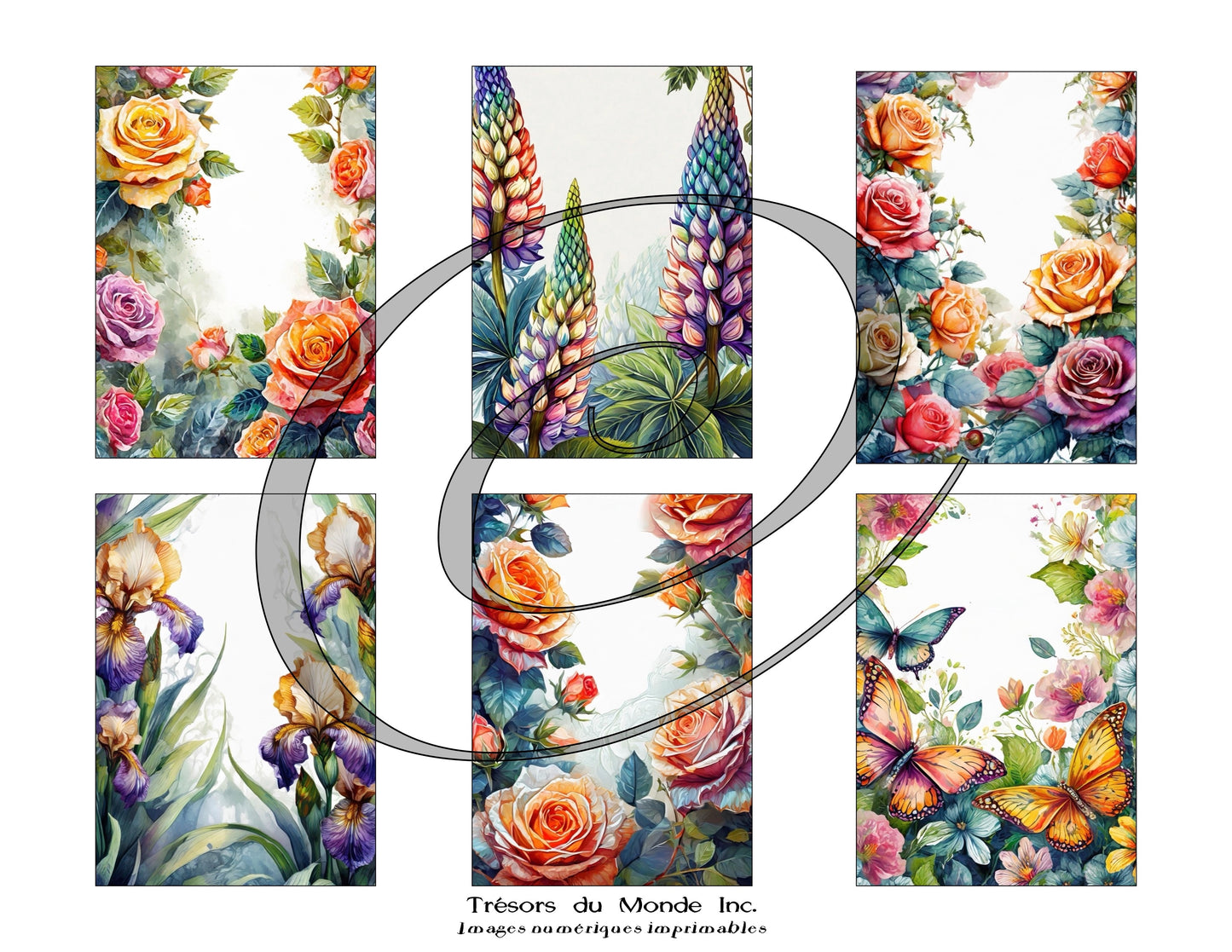 Cartes florales avec et sans texte - Usage perso