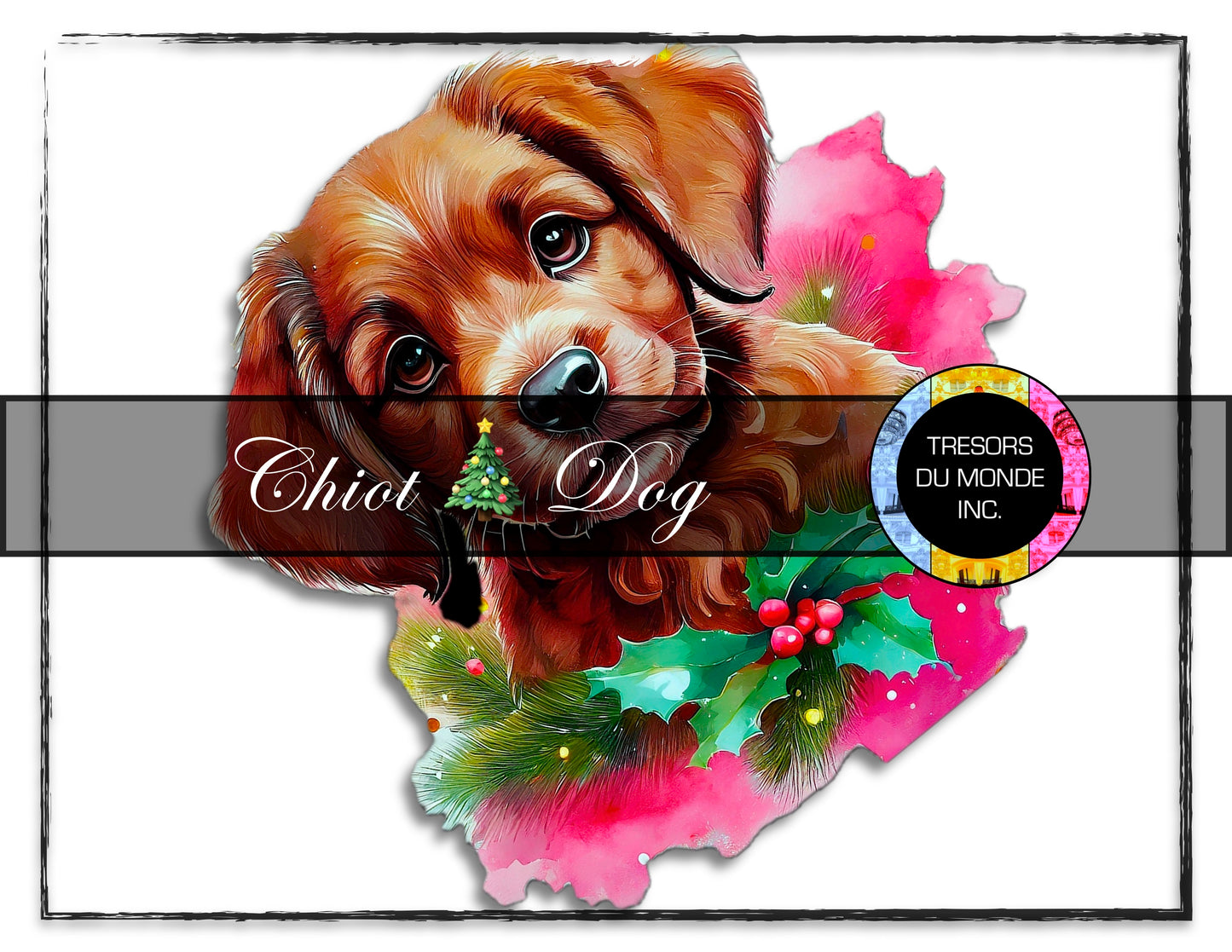 Cats and dogs - Christmas vibes - High resolution digital solo images - Business