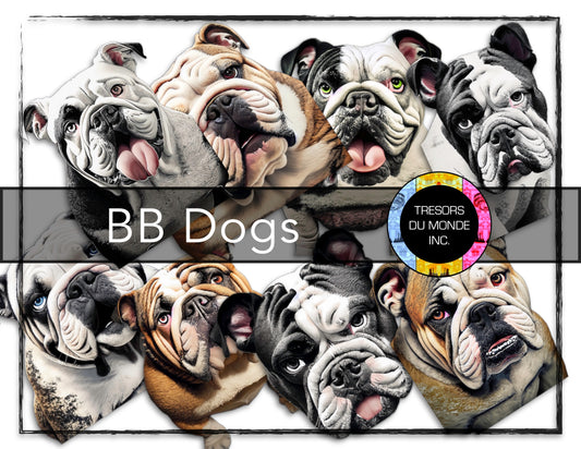 British bulldogs - High resolution digital solo images - Business