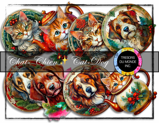 Cats and dogs - Christmas vibes - High resolution digital solo images - Business